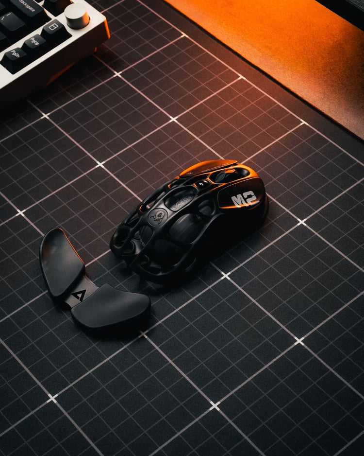 Mouse